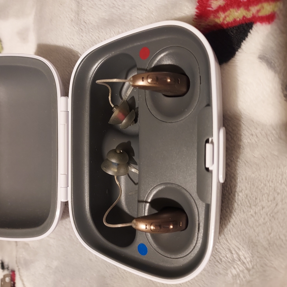 Brown Hearing Aids with Charging Case
